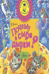 книга Почему в сыре дырки?