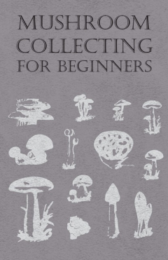 Книга Mushroom Collecting for Beginners на ReadRate.com книга Mushroom Collecting for Beginners