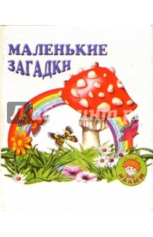 книга Маленькие загадки