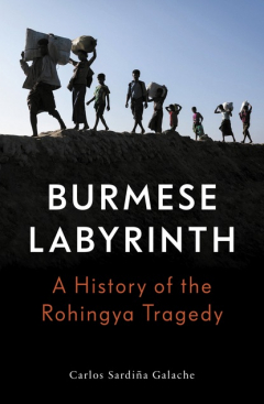 Книга The Burmese Labyrinth на ReadRate.com книга The Burmese Labyrinth