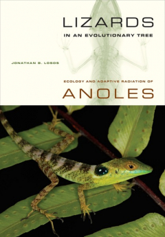 книга Lizards in an Evolutionary Tree