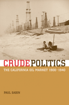 книга Crude Politics