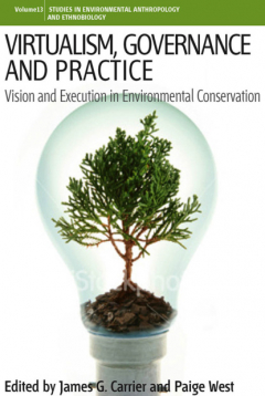 Книга Virtualism, Governance and Practice на ReadRate.com книга Virtualism, Governance and Practice