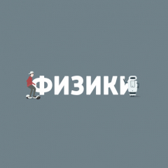 Книга Генерирование текста нейронными сетями на ReadRate.com книга Генерирование текста нейронными сетями