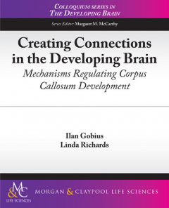 Книга Creating Connections in the Developing Brain на ReadRate.com книга Creating Connections in the Developing Brain