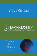 книга Stewardship