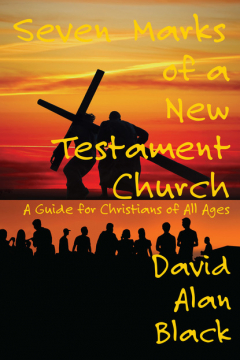 Книга Seven Marks of a New Testament Church: на ReadRate.com книга Seven Marks of a New Testament Church: