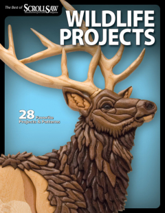 книга Wildlife Projects