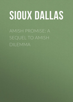 Книга Amish Promise: A Sequel to Amish Dilemma на ReadRate.com книга Amish Promise: A Sequel to Amish Dilemma