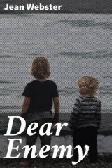книга Dear Enemy