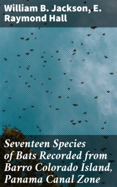 Книга Seventeen Species of Bats Recorded from Barro Colorado Island, Panama Canal Zone на ReadRate.com книга Seventeen Species of Bats Recorded from Barro Colorado Island, Panama Canal Zone