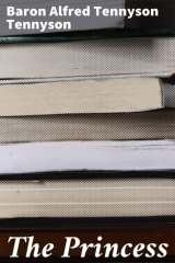 книга The Princess
