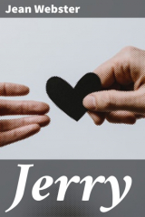 книга Jerry