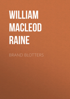 Книга Brand Blotters на ReadRate.com книга Brand Blotters