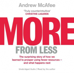 Книга More From Less на ReadRate.com книга More From Less