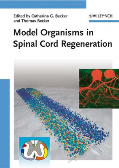 Книга Model Organisms in Spinal Cord Regeneration на ReadRate.com книга Model Organisms in Spinal Cord Regeneration
