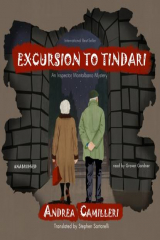 книга Excursion to Tindari