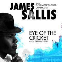 Книга Eye of the Cricket на ReadRate.com книга Eye of the Cricket