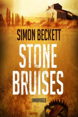книга Stone Bruises