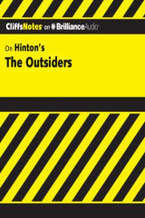 книга Outsiders