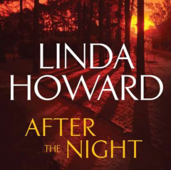 книга After the Night