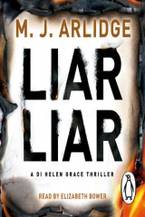 книга Liar Liar