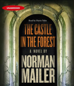 Книга Castle in the Forest на ReadRate.com книга Castle in the Forest