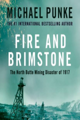 книга Fire and Brimstone