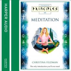 Книга Principles Of Meditation на ReadRate.com книга Principles Of Meditation