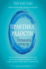 книга Практика радости. Как управлять гневом