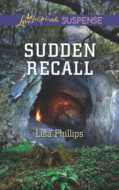 Книга Sudden Recall на ReadRate.com книга Sudden Recall