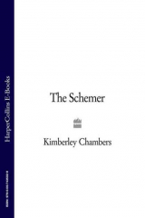 книга The Schemer
