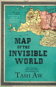 Книга Map of the Invisible World на ReadRate.com книга Map of the Invisible World