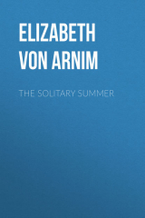 книга The Solitary Summer