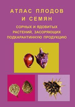 Книга Атлас плодов и семян сорных и ядовитых растений, засоряющих подкарантинную продукцию на ReadRate.com книга Атлас плодов и семян сорных и ядовитых растений, засоряющих подкарантинную продукцию