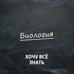 Книга Что такое звук и как его воспринимают люди и животные? на ReadRate.com книга Что такое звук и как его воспринимают люди и животные?