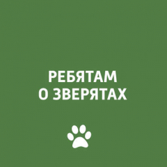 Книга Экзотические животные: как их содержать и как оформить документы на ReadRate.com книга Экзотические животные: как их содержать и как оформить документы