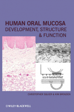 Книга Human Oral Mucosa. Development, Structure and Function на ReadRate.com книга Human Oral Mucosa. Development, Structure and Function