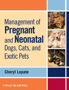 Книга Management of Pregnant and Neonatal Dogs, Cats, and Exotic Pets на ReadRate.com книга Management of Pregnant and Neonatal Dogs, Cats, and Exotic Pets