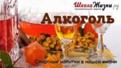 Книга Гости на пороге. Какие закуски подать под водку? на ReadRate.com книга Гости на пороге. Какие закуски подать под водку?
