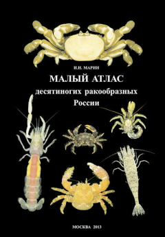 Книга Малый атлас десятиногих ракообразных России на ReadRate.com книга Малый атлас десятиногих ракообразных России