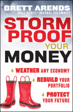 Книга Storm Proof Your Money. Weather Any Economy, Rebuild Your Portfolio, Protect Your Future на ReadRate.com книга Storm Proof Your Money. Weather Any Economy, Rebuild Your Portfolio, Protect Your Future