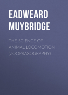 Книга The Science of Animal Locomotion (Zoopraxography) на ReadRate.com книга The Science of Animal Locomotion (Zoopraxography)