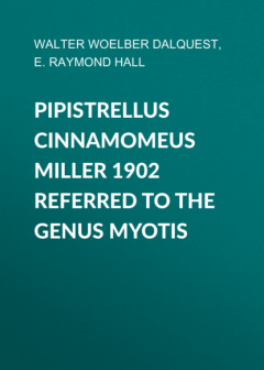 Книга Pipistrellus cinnamomeus Miller 1902 Referred to the Genus Myotis на ReadRate.com книга Pipistrellus cinnamomeus Miller 1902 Referred to the Genus Myotis