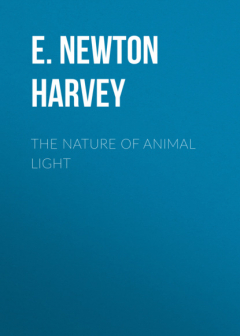 книга The Nature of Animal Light