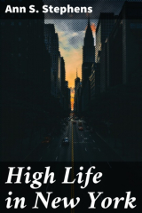 книга High Life in New York