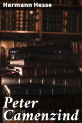 книга Peter Camenzind
