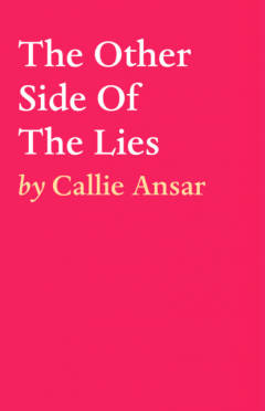Книга The Other Side Of The Lies на ReadRate.com книга The Other Side Of The Lies
