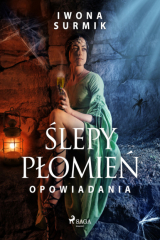 книга Ślepy płomień - zbi?r opowiadań