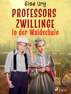 Книга Professors Zwillinge in der Waldschule на ReadRate.com книга Professors Zwillinge in der Waldschule